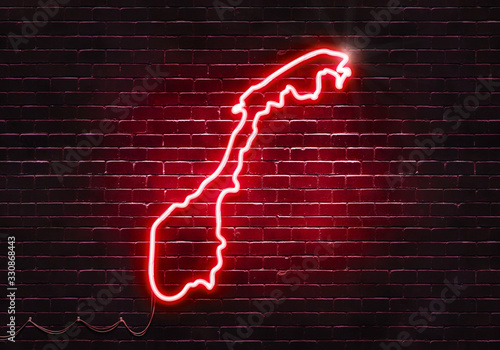 Neon sign on a brick wall in the shape of Norway.(illustration series)