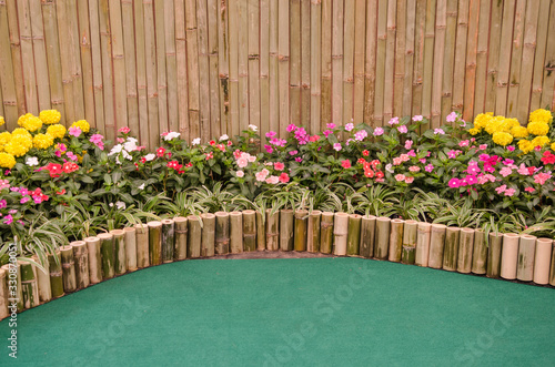 Madagascar periwinkle garden with bamboo tube border and background photo