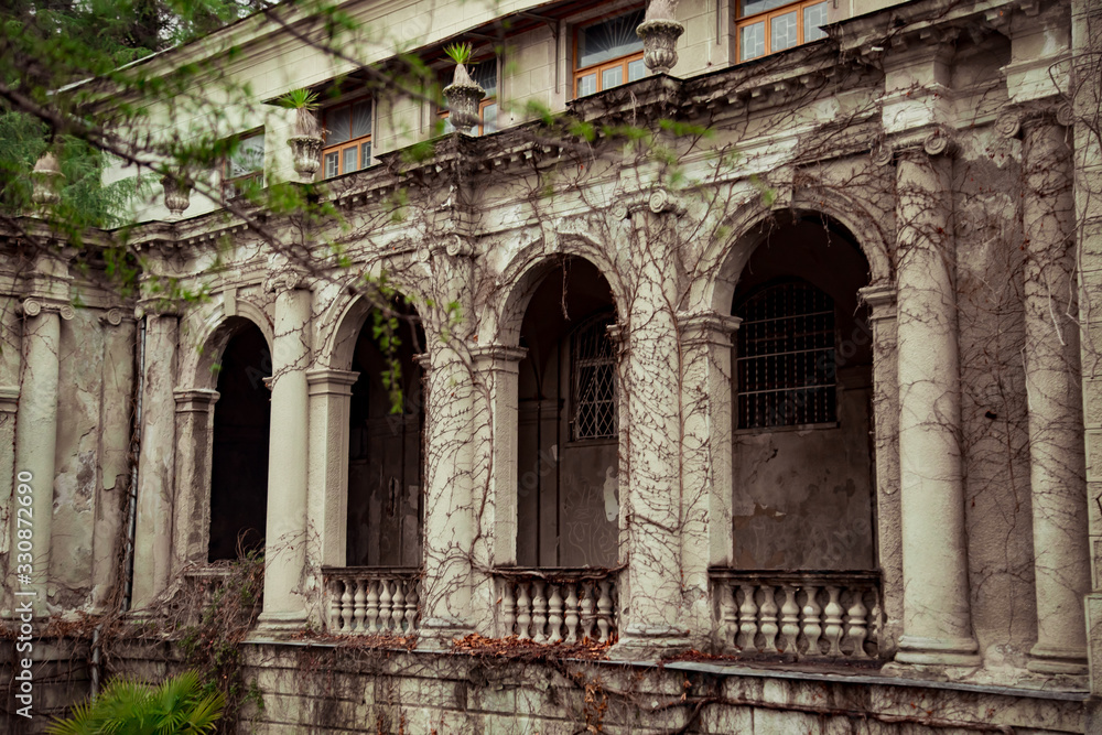 Fototapeta premium the old ,grey castle