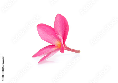 frangipani flower isolated on white