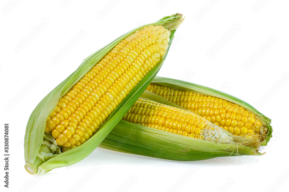 Corn on white background Corn on white background