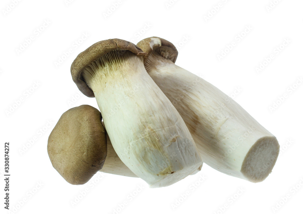 King Oyster mushrooms isolated on white background King Oyster mushrooms isolated on white background