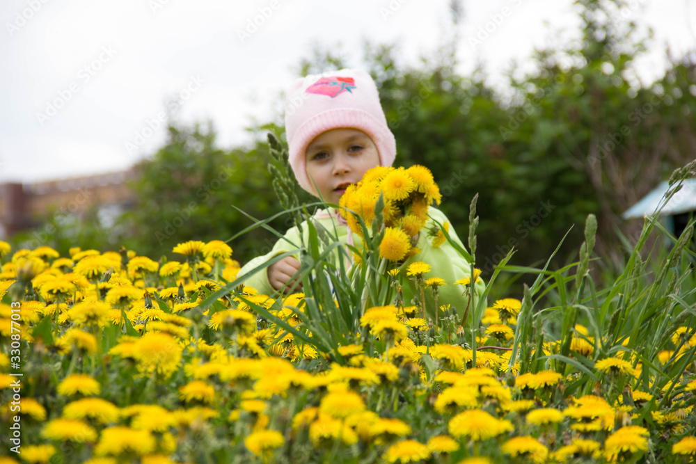 Little girl in a cap collects yellow dandelions in a clearing Little girl in a cap collects yellow dandelions in a clearing