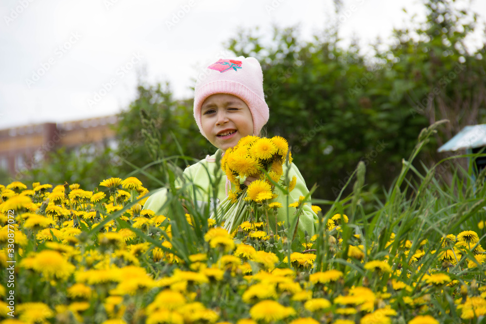 Little girl in a cap collects yellow dandelions in a clearing Little girl in a cap collects yellow dandelions in a clearing