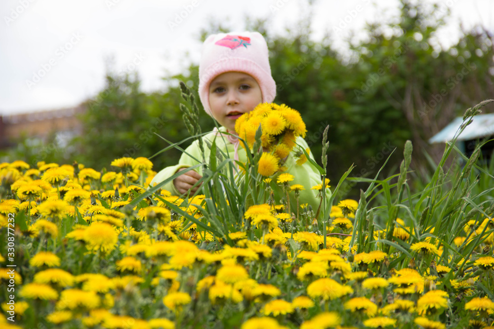 Little girl in a cap collects yellow dandelions in a clearing Little girl in a cap collects yellow dandelions in a clearing