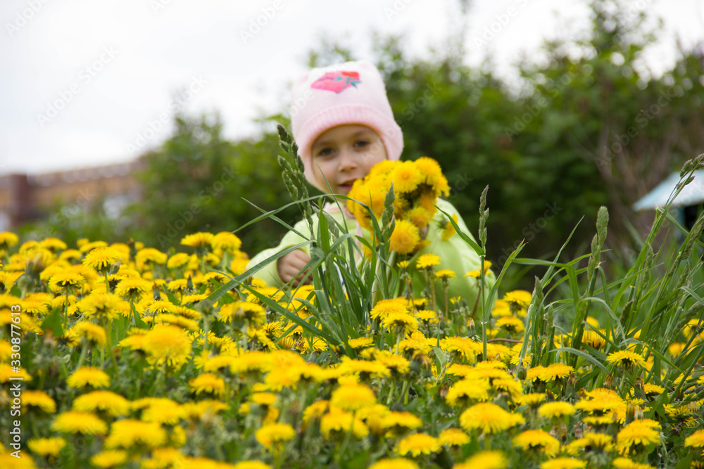 Little girl in a cap collects yellow dandelions in a clearing