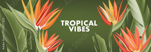 Bird of Paradise flowers, banana palm leaves realistic illustration. Spring summer wide horisontal banner. Floral jungle design