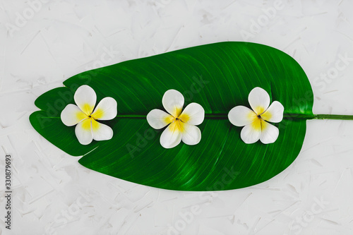 monoi flowers on tropical green leaf on calming white background photo