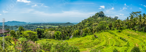 Bali s lands are filled with verdant rice fields which make for amazing scenery