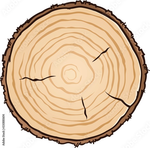 A wooden circle vector illustration cut from a log showing age rings and cracks
