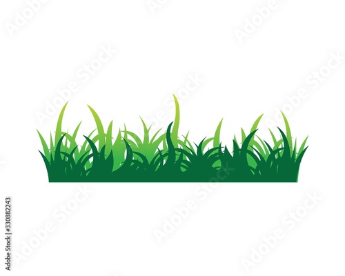 grass vector illustration template