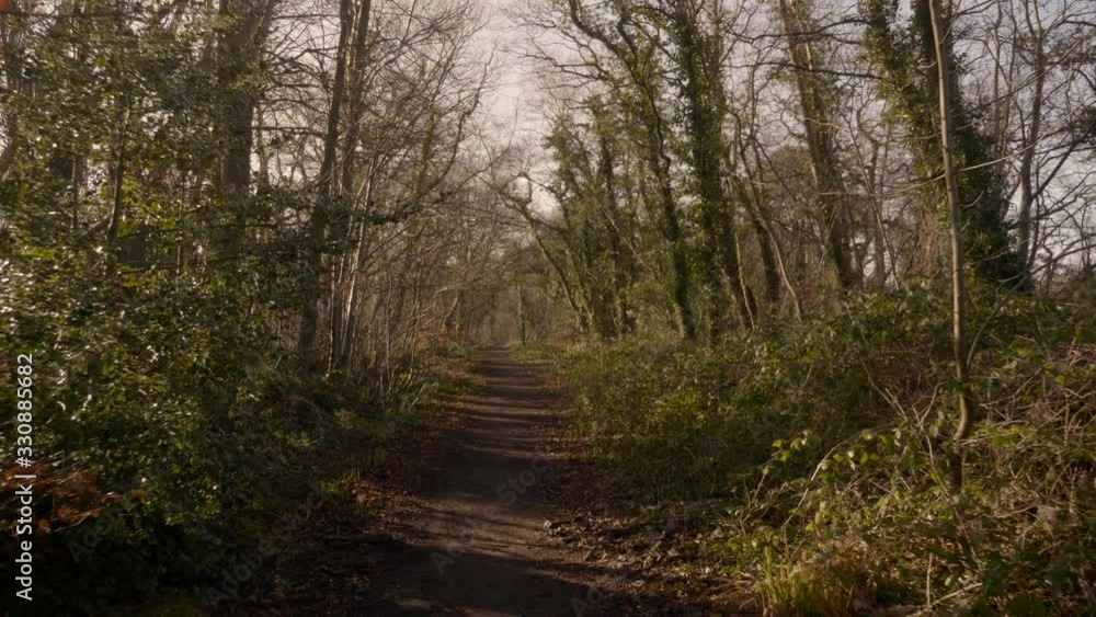 A Long Walking Trail In The Middle Of The Woods On A Clear Sunny Day In Northern Ireland. -wide shot A Long Walking Trail In The Middle Of The Woods On A Clear Sunny Day In Northern Ireland. -wide shot