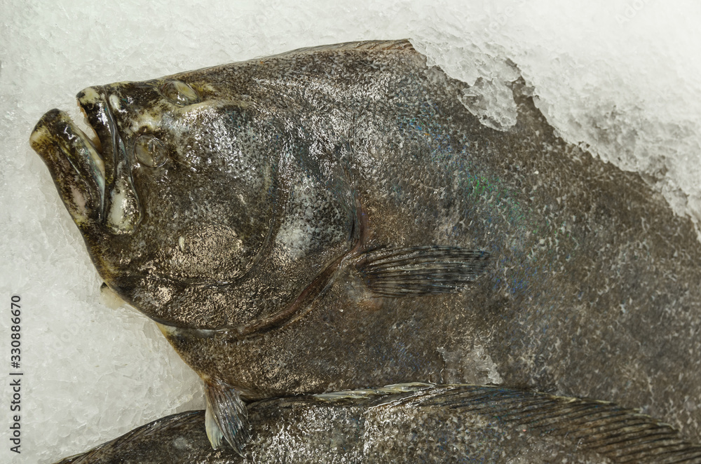Halibut for sale at a fish market in San Pedro, California. Stock Photo