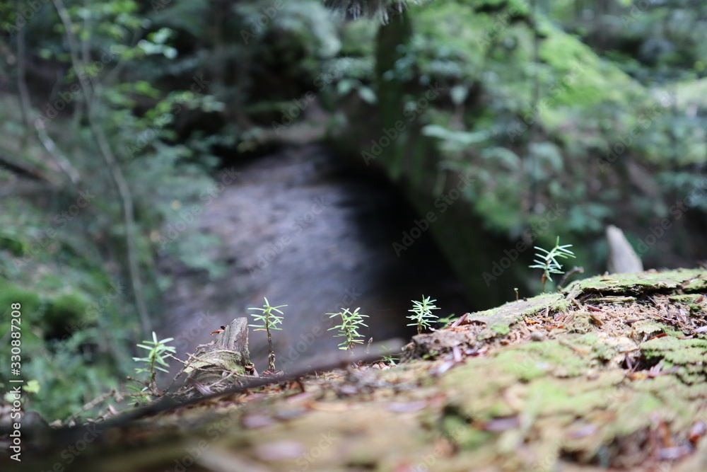 nature nature