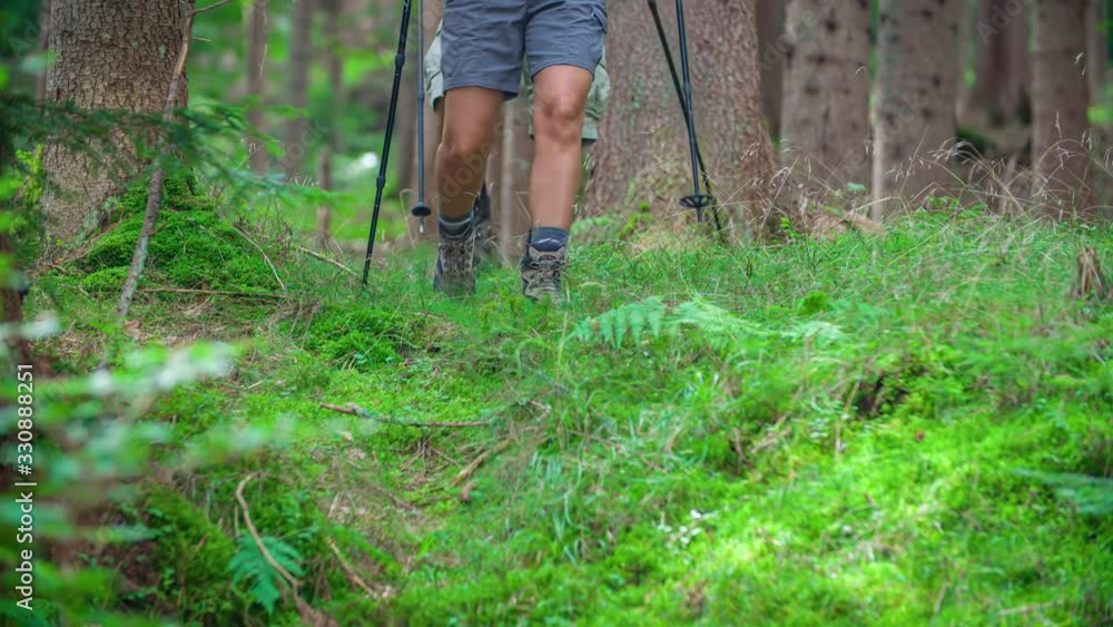 Low angle shot of a couple of hikers with boots and poles exploring a magical green forest Low angle shot of a couple of hikers with boots and poles exploring a magical green forest