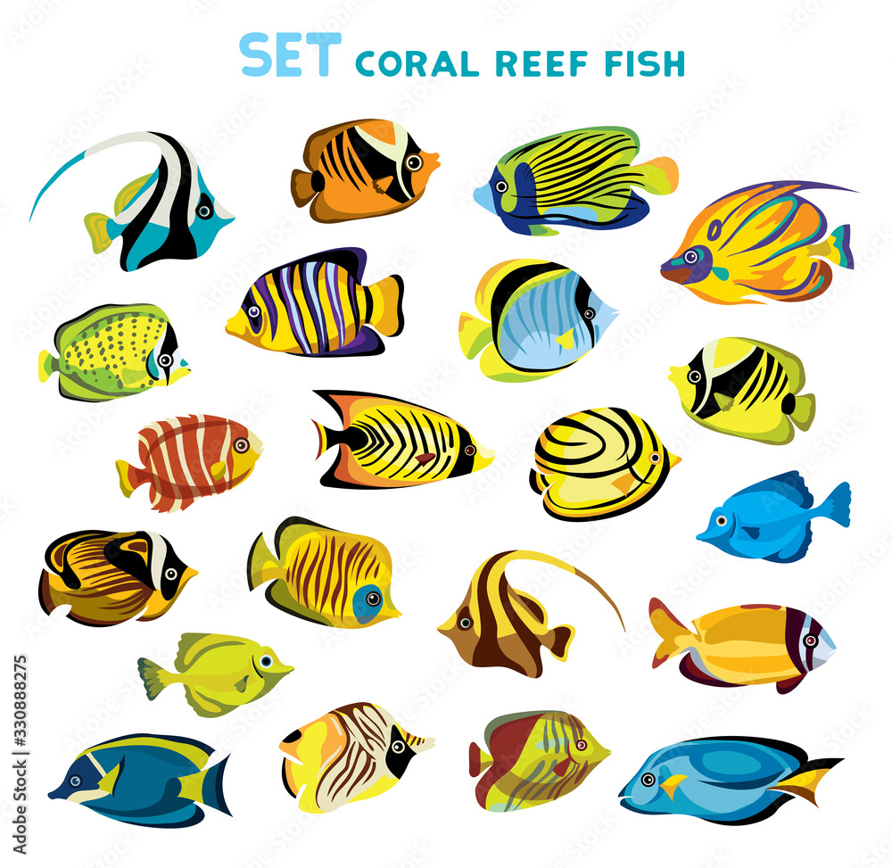 Set of coral reef fishes. Set of coral reef fishes.