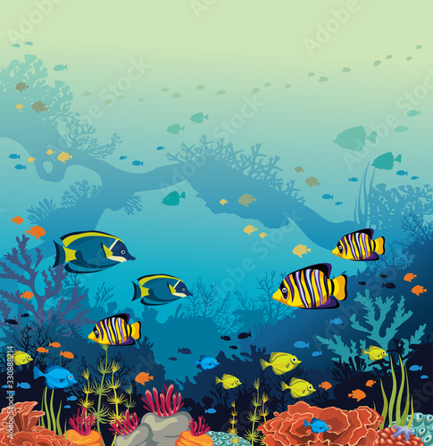 Fototapeta Naklejka Na Ścianę i Meble -  Underwater coral reef and fish