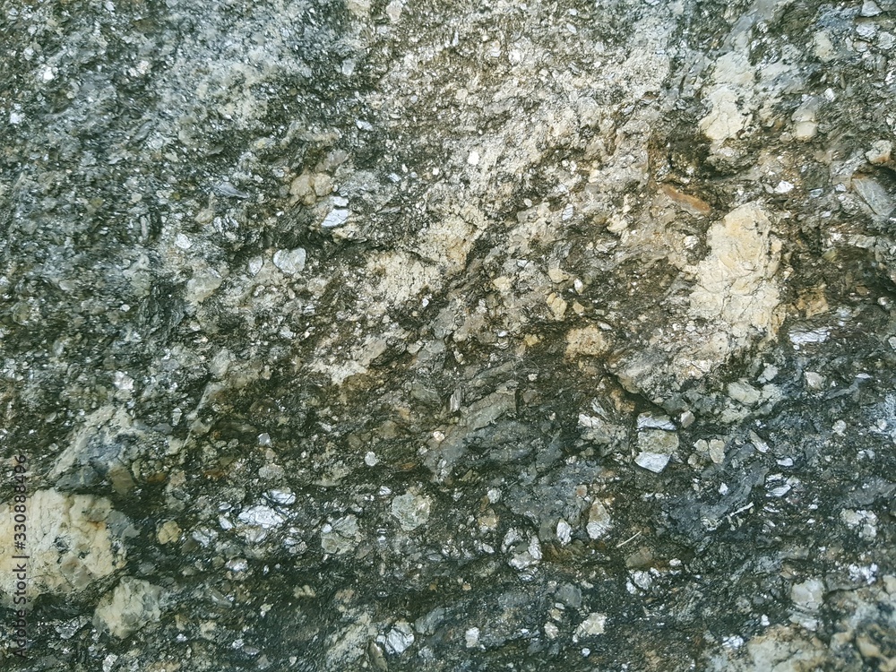 lichen on rock