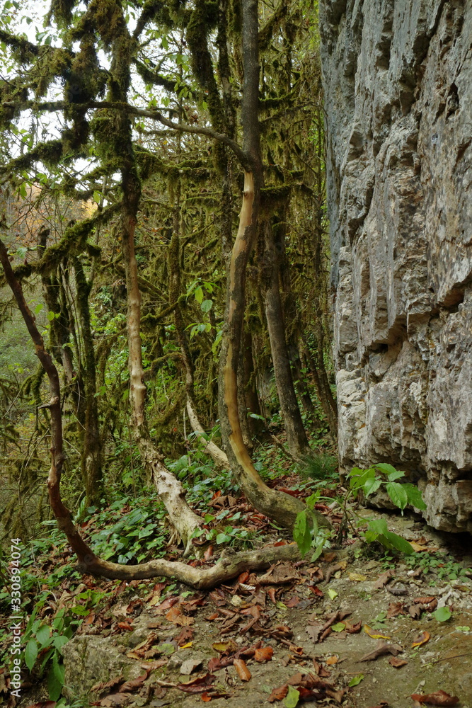 Hiking trail