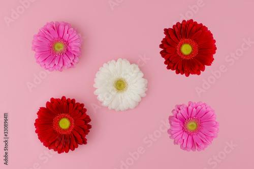 Pattern with red, pink, white gerbera flowers on pastel pink background. Spring or summer greeting card. Valentine's day, Wedding day, birthday, Women's day, Mother's day postcard concept.