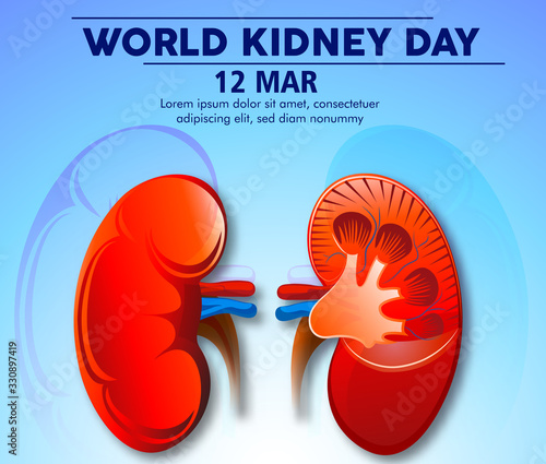 Illustration Of World Kidney Day Poster Or Banner Background.Kidney care logo design. Urology vector design. World kidney day logotype