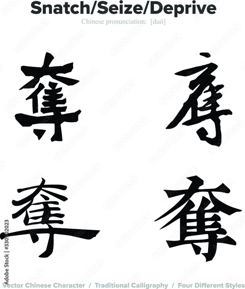 Snatch, Seize, Deprive - Chinese Calligraphy with translation, 4 styles Snatch, Seize, Deprive - Chinese Calligraphy with translation, 4 styles