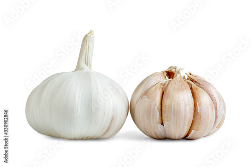 garlic isolated on white background ,include clipping path