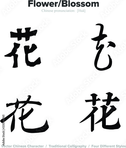 flower, blossom - Chinese Calligraphy with translation, 4 styles