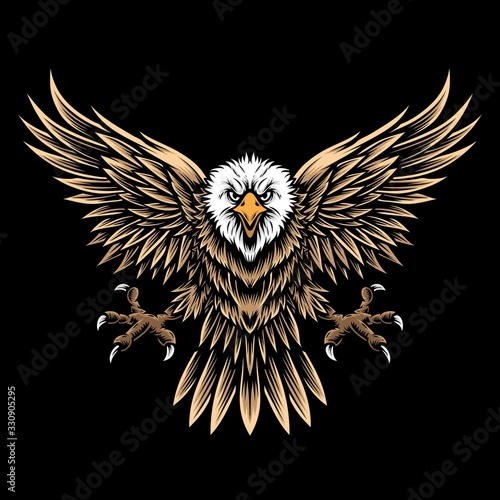 flying eagle vector and logo