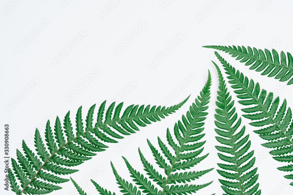 Creative layout made of papers and leaves Flat lay. Minimal nature concept. Creative layout made of papers and leaves Flat lay. Minimal nature concept.