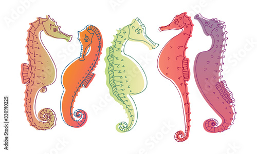 Stylized Sea Horses with Bony Armour and Prehensile Tail Vector Set