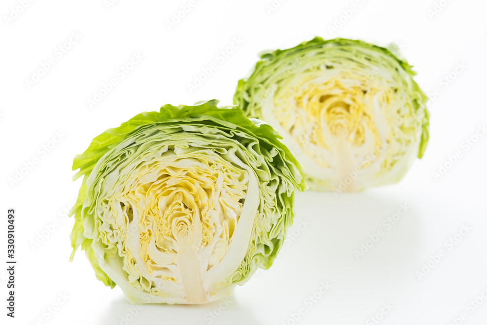 新鮮採れたて!春キャベツ 新鮮採れたて!春キャベツ