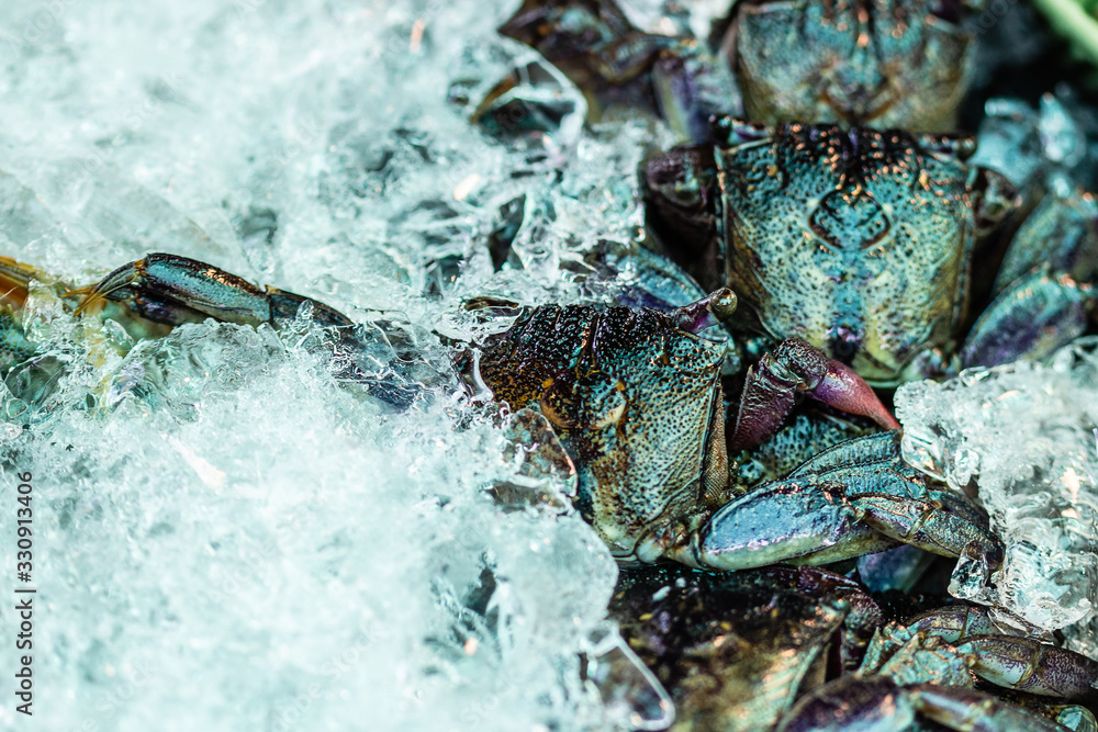 Pickled crabs on ice tray. Close up shot. Pickled crabs on ice tray. Close up shot.
