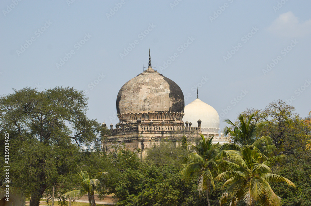 tree branches of seven tombs dome in hydrabad india