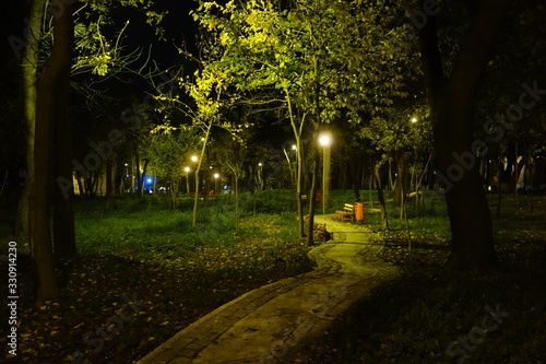 park with alley by night