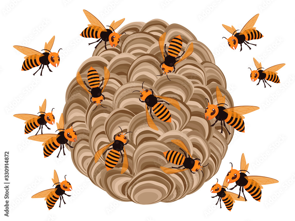 スズメバチの巣のイラスト 蜂がいっぱい Stock Vector Adobe Stock