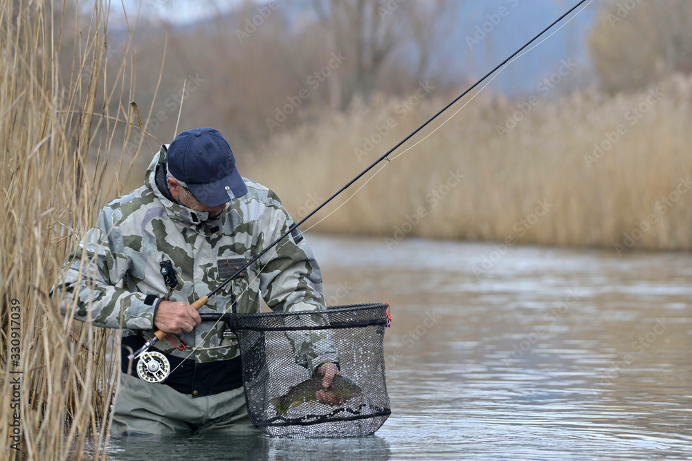 catch of a beautiful brown trout with fly catch of a beautiful brown trout with fly