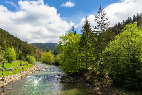 mountain river among the forest in spring. trees, grass and stoner on the shore. beautiful nature landscape. wonderful sunny weather with gorgeous sky