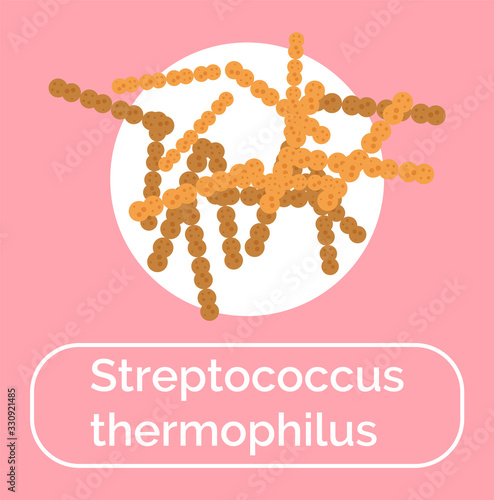 Streptococcus thermophilus icon with text. Isolated probiotic microorganism useful for human body and microflora. Digestive system supplement, healthy functioning of digestion vector in flat