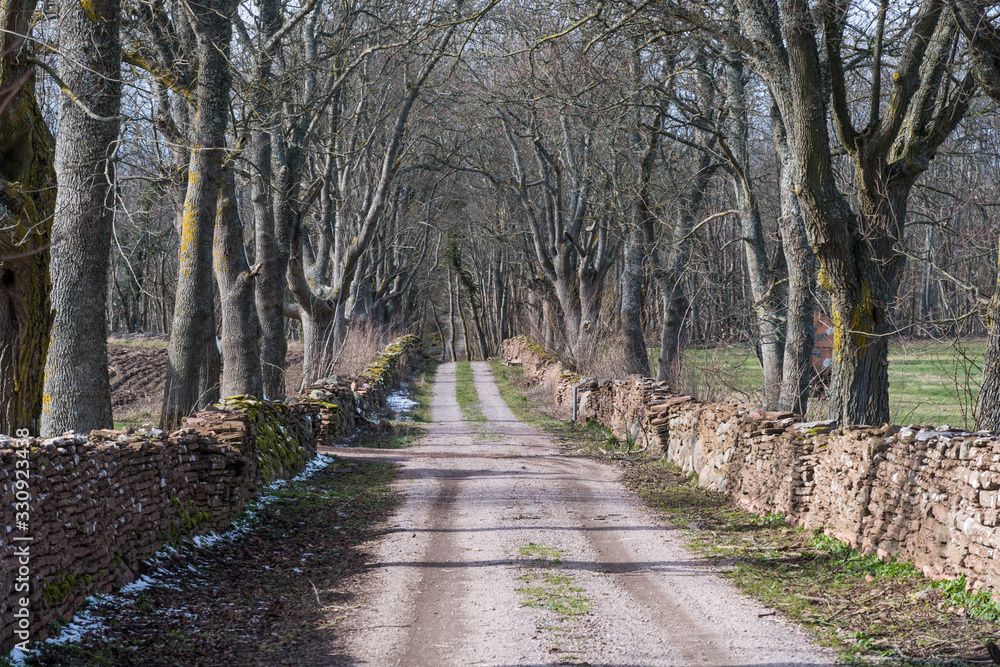 Fototapeta premium Country road surrounded by dry stone walls