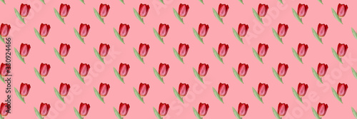 Seamless pattern of red Tulip on a pink background.