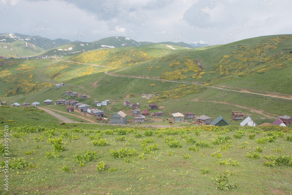 Fototapeta premium Fantastic view of the mountain village Gomis Mta. Picturesque