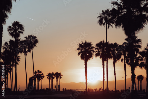 Venice beach full of palm trees at sunset in summer time. USA.