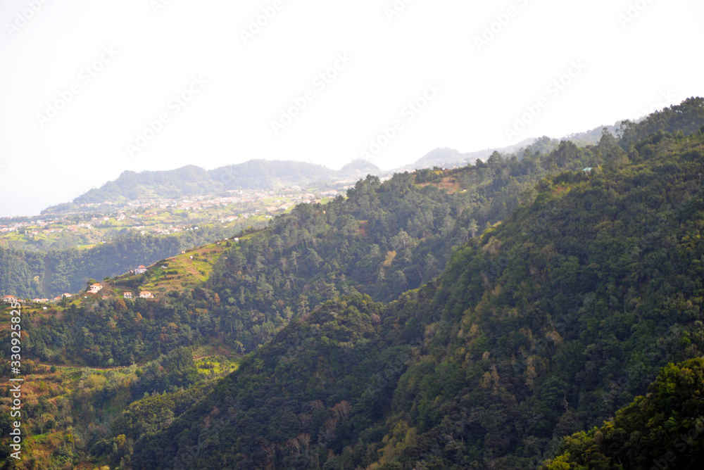view of mountains forest Madeira view of mountains forest Madeira