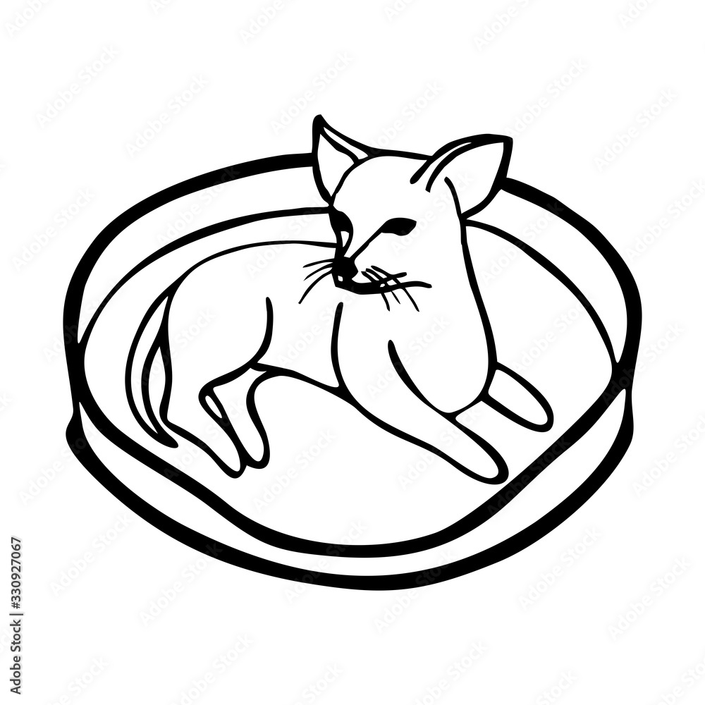 Fototapeta premium DOG IN VECTOR