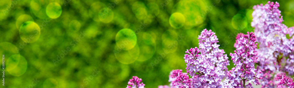 Branch with spring lilac flowers. Nature background. Branch with spring lilac flowers. Nature background.