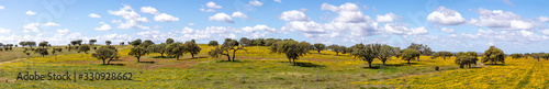 landscape near Ourique at the coast aerea of Algarve in Portugal with olive trees  colorful fields and cork trees