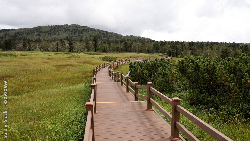 Wooden bridge in Natural Park – a wooden walkway