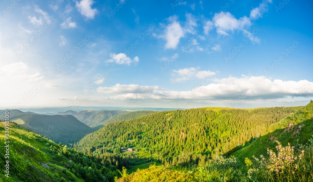 Panorama of green mountains at summer sunrise
