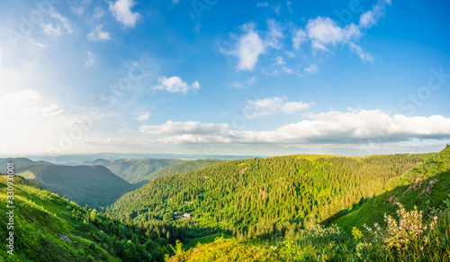 Panorama of green mountains at summer sunrise